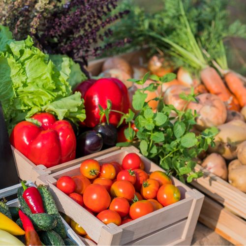 Sélection de légumes frais et de saison